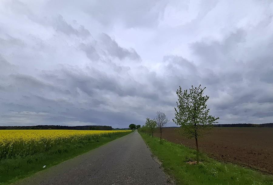 Szaro i buro mimo rzepaku