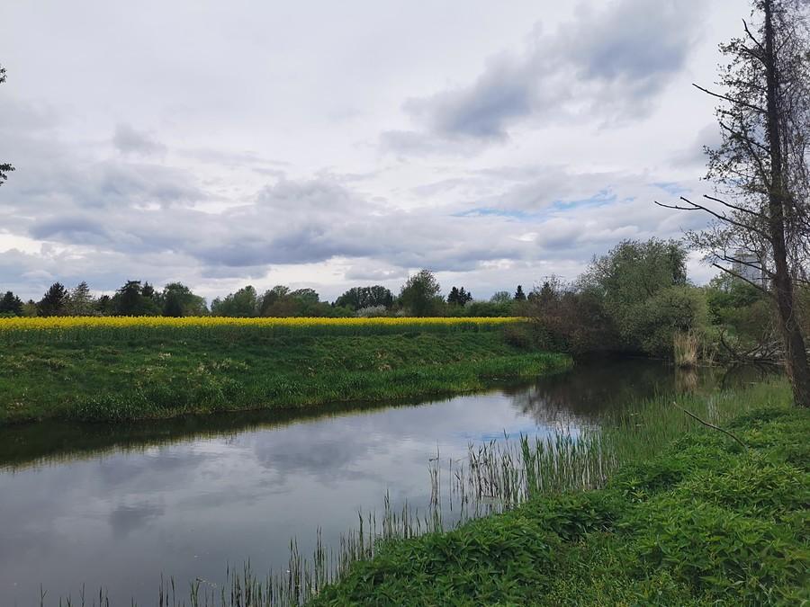 Wilanówka na końcu ulicy Glebowej