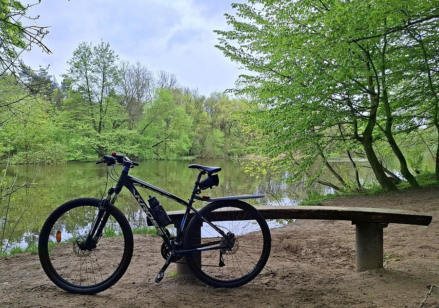 Chwila na Dębinie