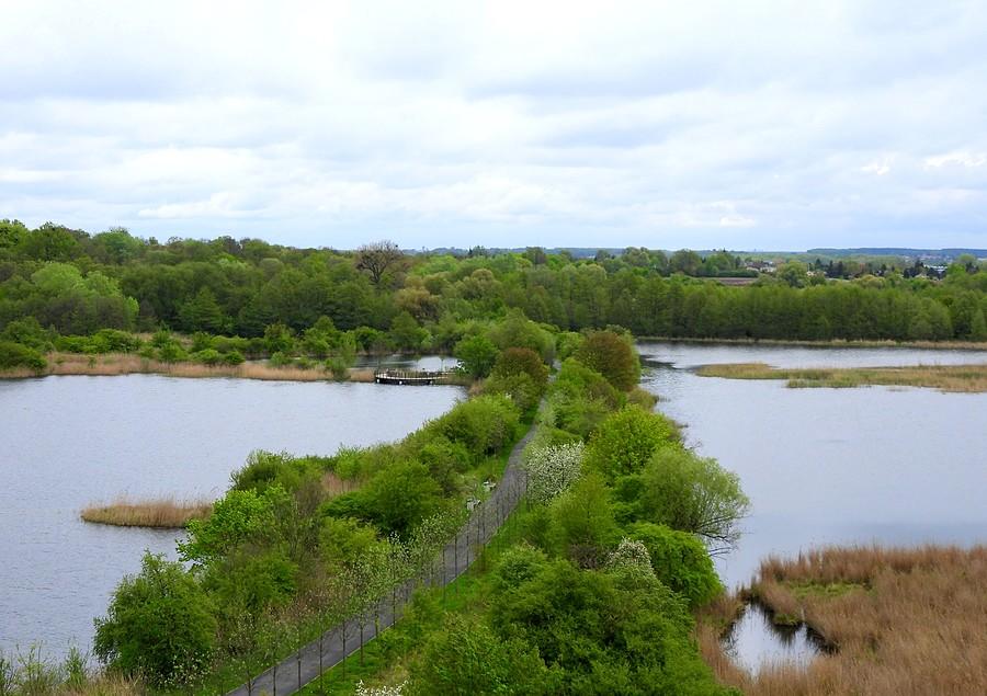 Widok na Szachty