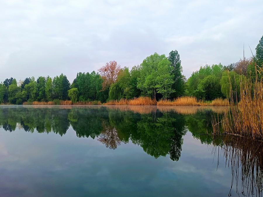 Symetria na Michalinie.