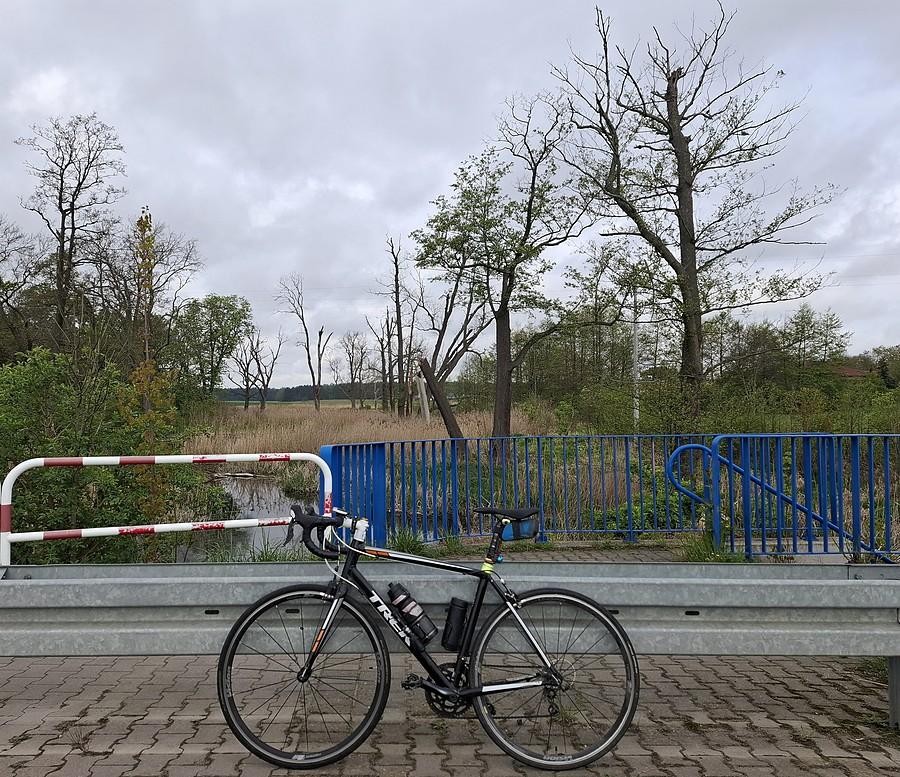 Rowerówka z Trzcielina
