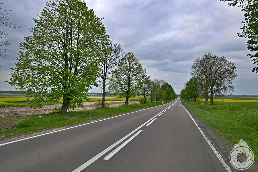 jakieś proste na wschód północnego Podkarpacia