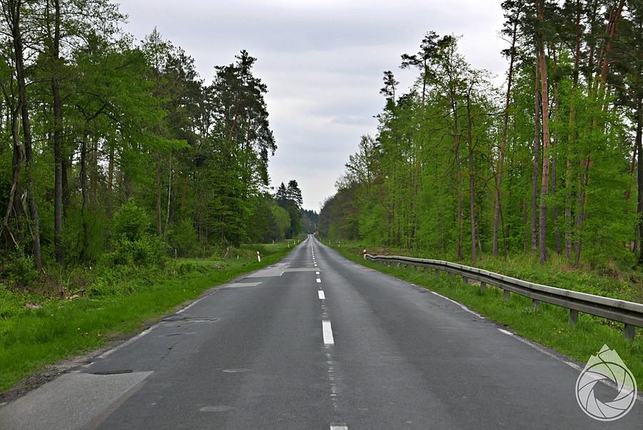 proste przez podkarpackie lasy ze złymi asfaltami (ale remontujo!)
