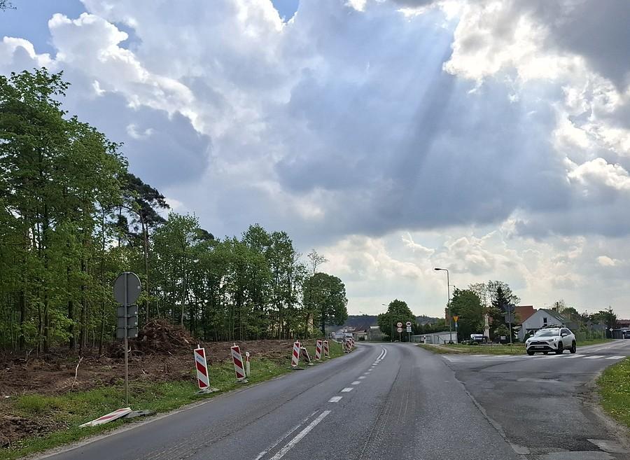 Lecą drzewa, czyli będzie kolejna debilna śmieszka :/