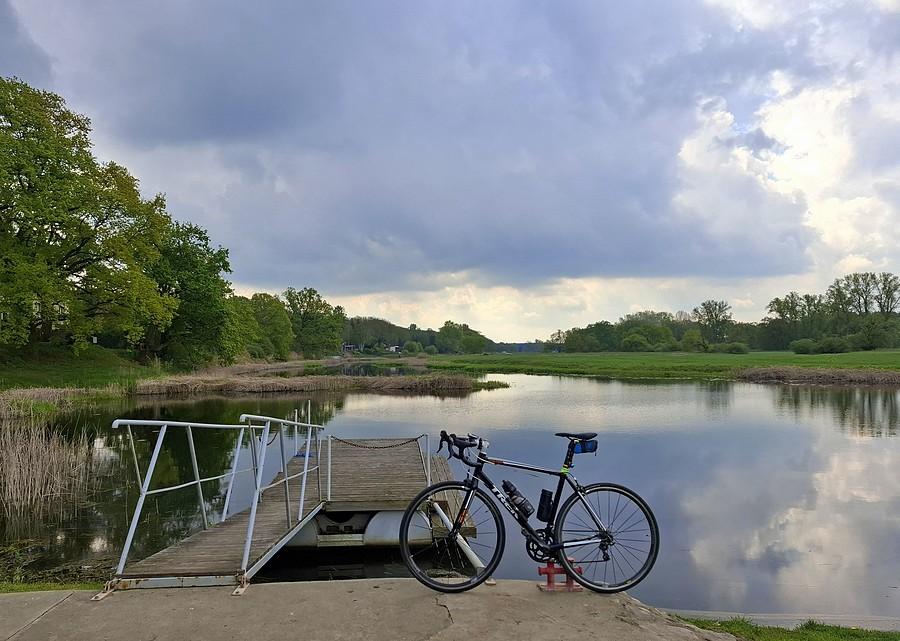 Znów w Radzewicach