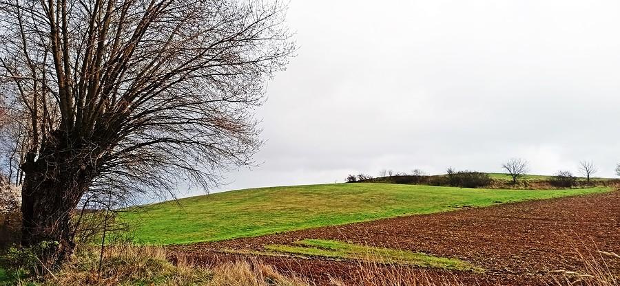 Polski widoczek