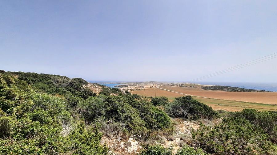 Cape Greko.