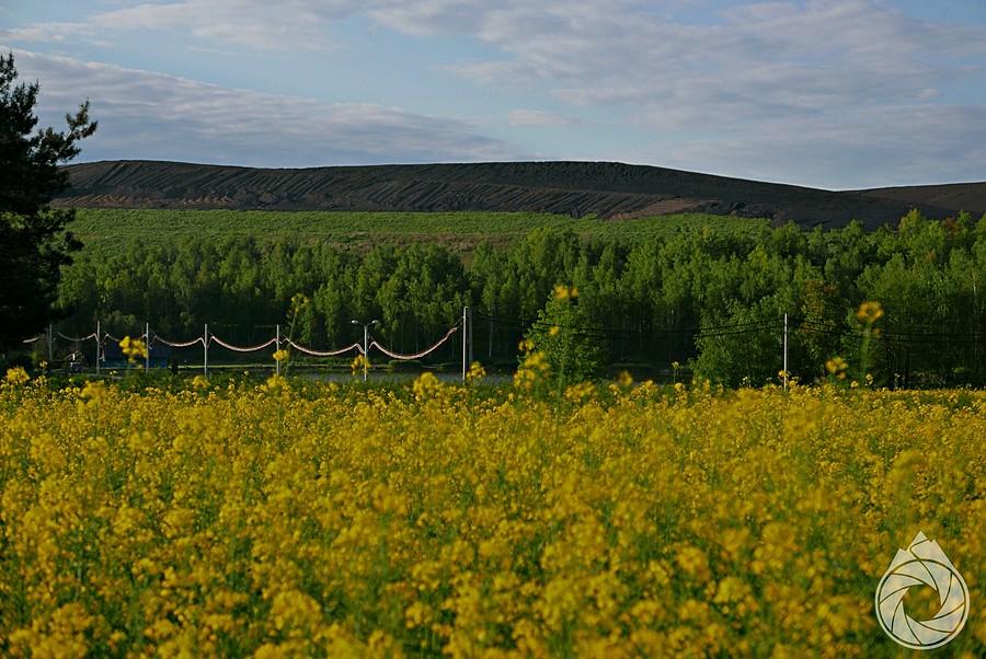 inne górki, hałdowe, zza rzepaczku