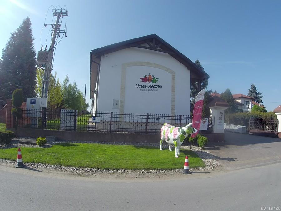 Kolorowa Mućka
