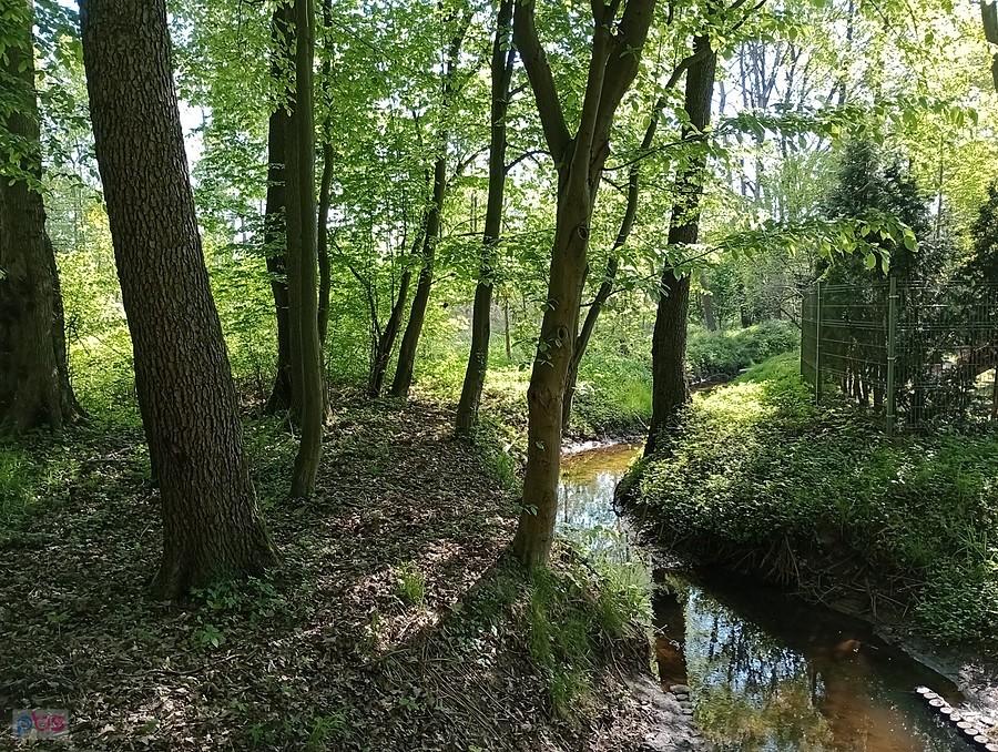Strumyk w Klaudynie