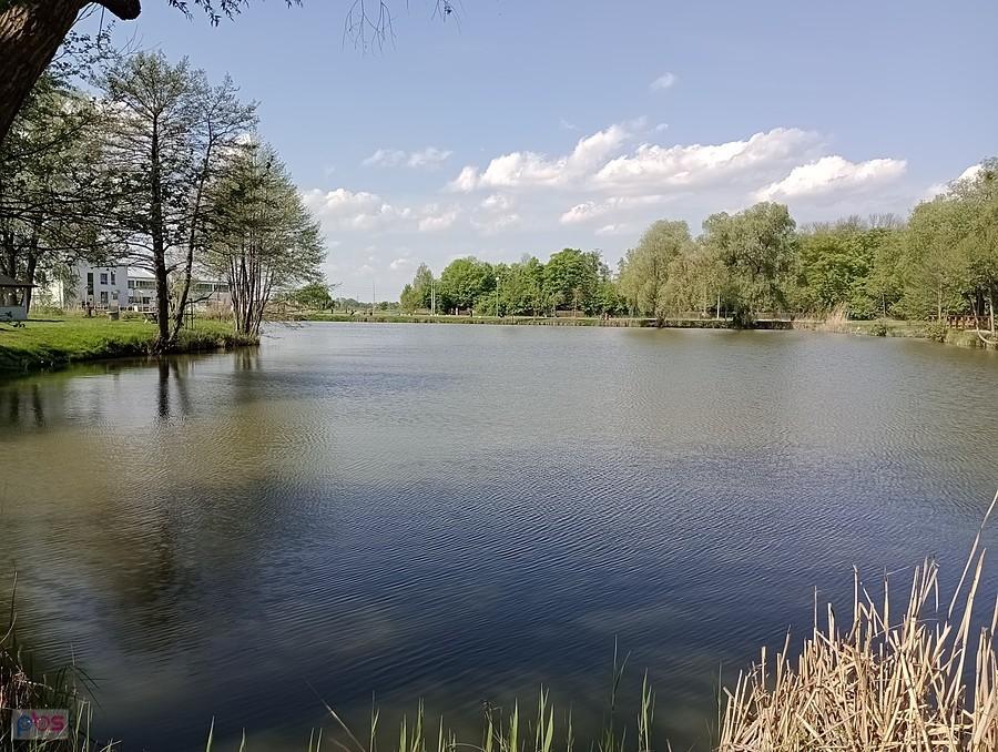 Staw w Zielonkach