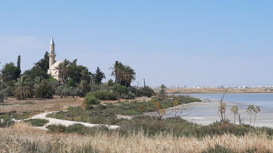Meczet Hala Sultan Tekke nad Słonym Jeziorem w Larnace.