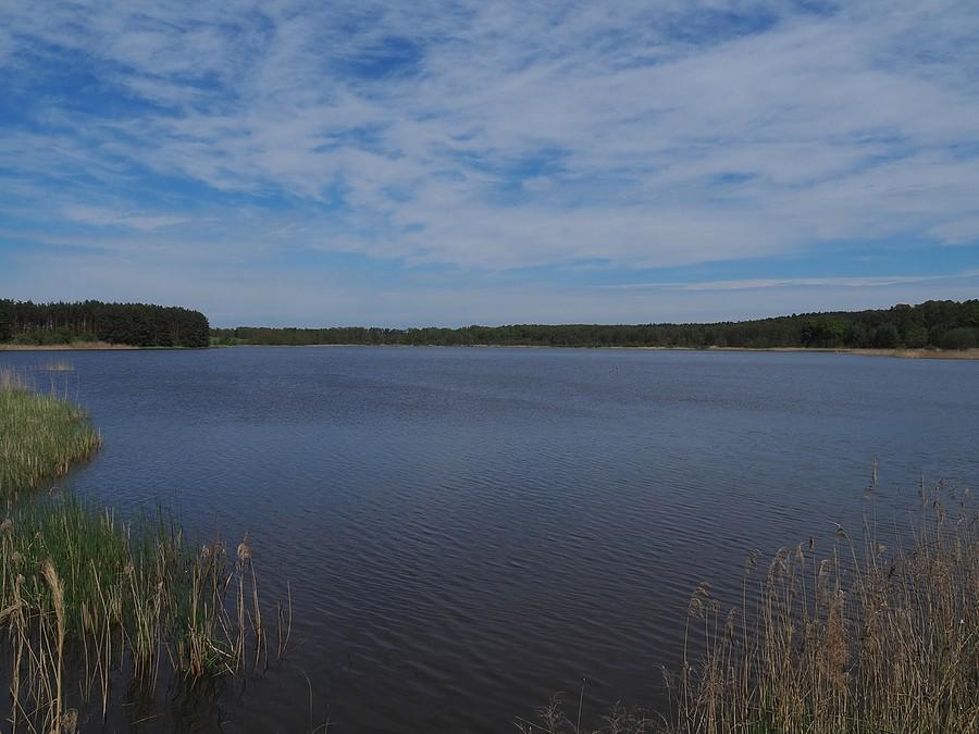 Stawy Ośniańskie