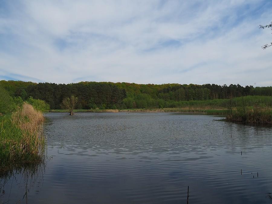 Stawy Ośniańskie