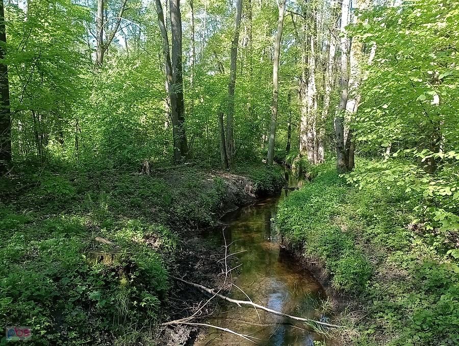 Strumyk w Klaudynie