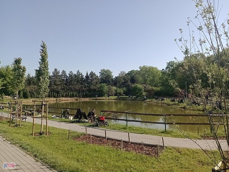 Staw w Borzęcinie. Dziś tu chyba zawody wędkarskie
