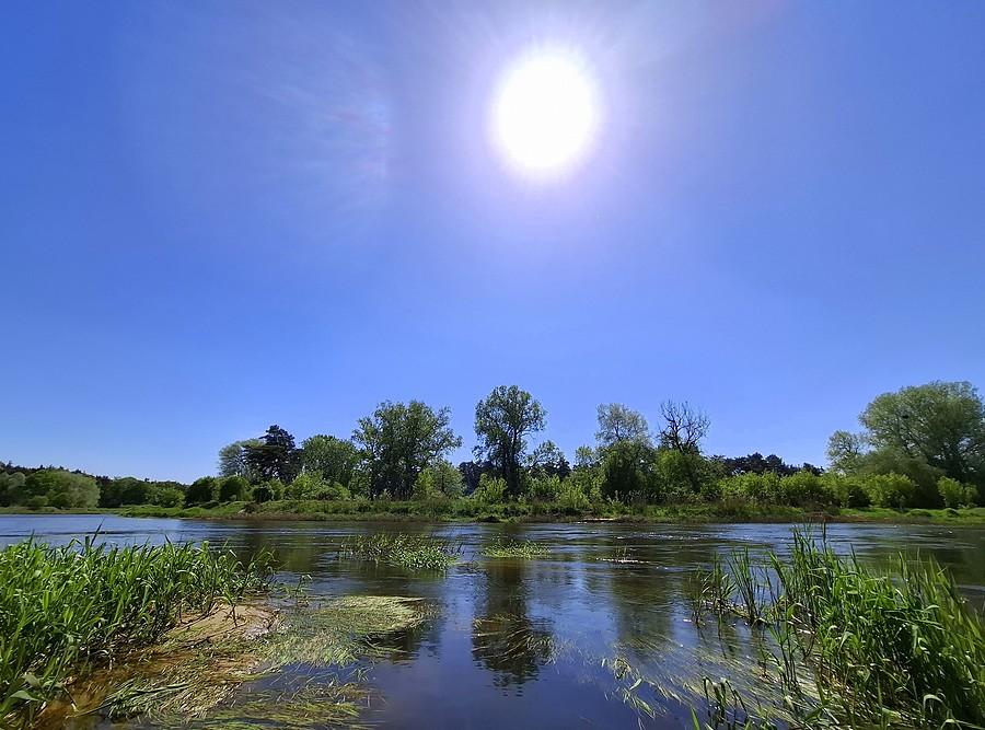 Warta w Rogalińskim Parku Krajobrazowym