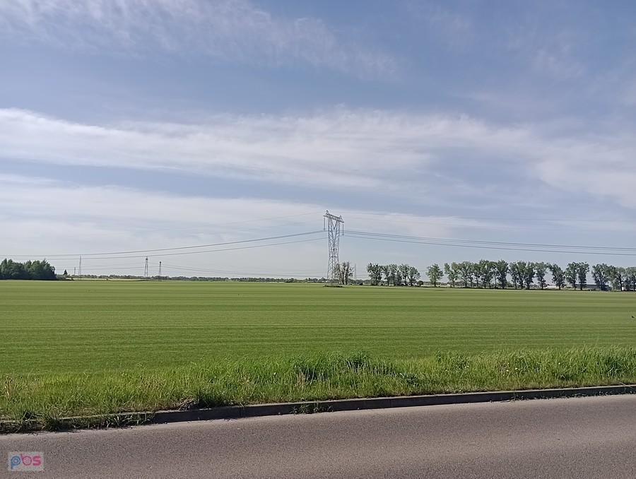 Tu rośnie darń na trawę z rolki