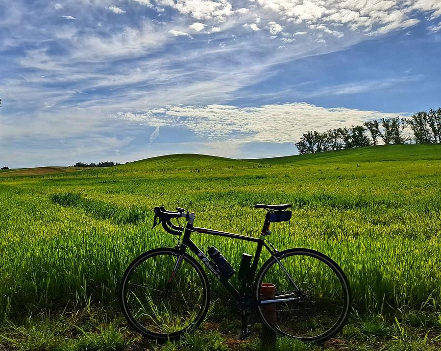 Rowerówka spod XP