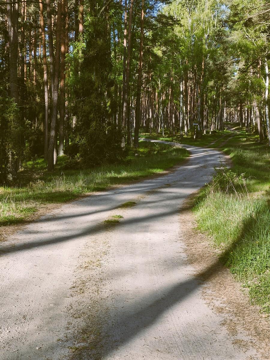 Droga pożarowa nr 15 w Przewodniku