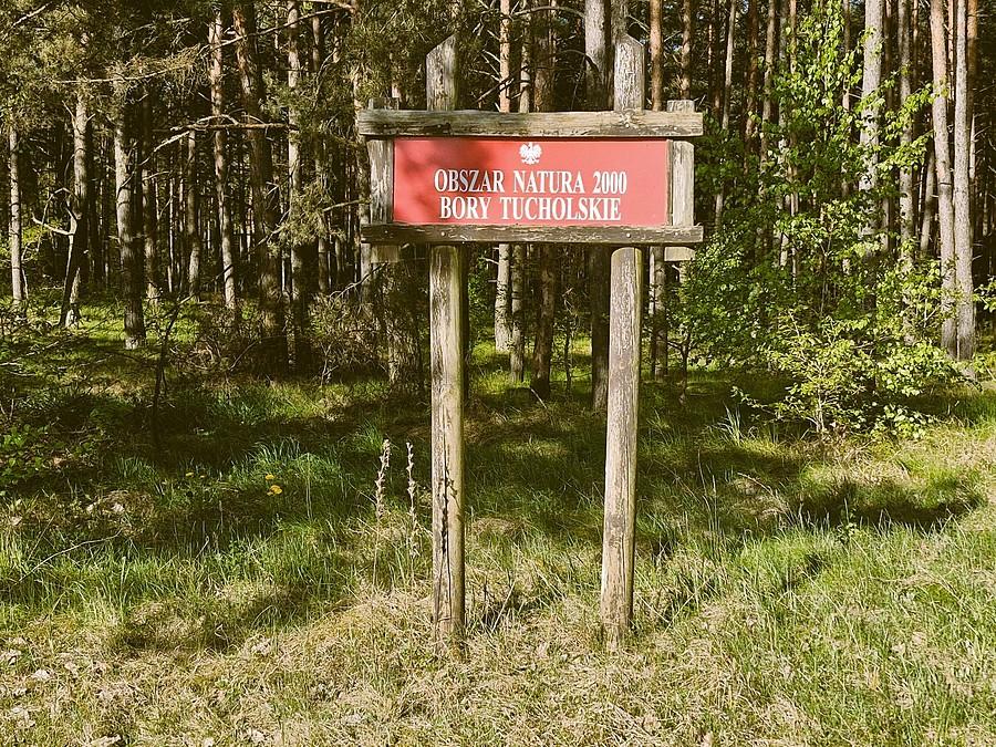 Kociewie obejmuje wschodni kraniec Borów Tucholskich