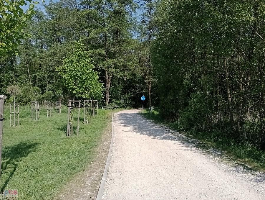 Stąd przyjechałam