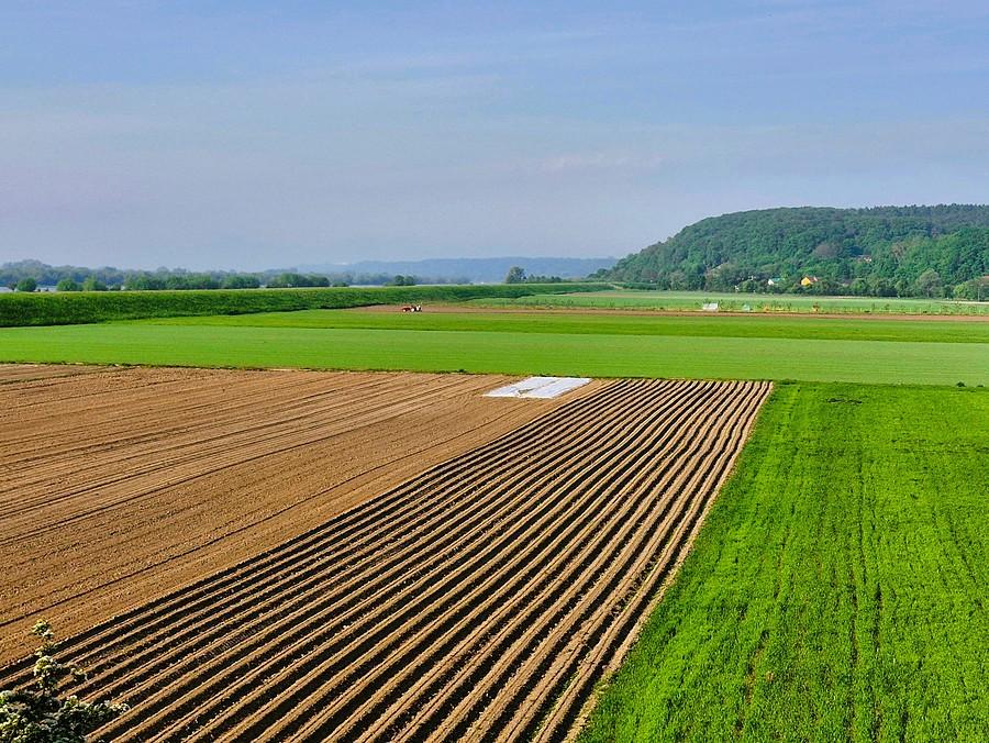 Tereny nadwiślańskie