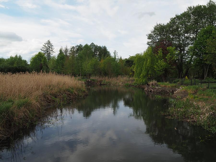 Ilanka pod Starościnem
