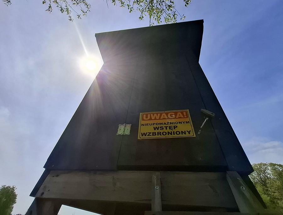 Upoważnienie dla zwyroli
