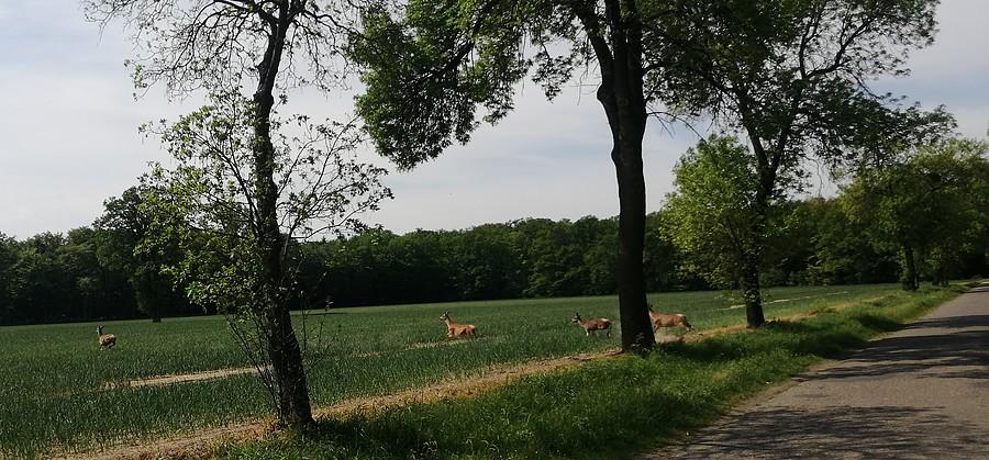 Ewidentnie im się spieszyło...