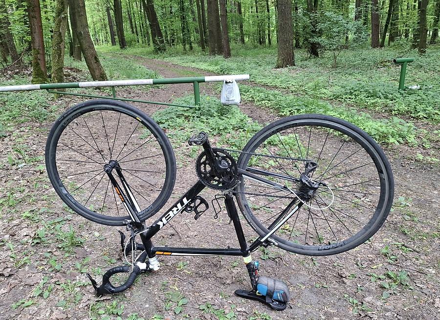 Znów pana, tym razem z tyłu...