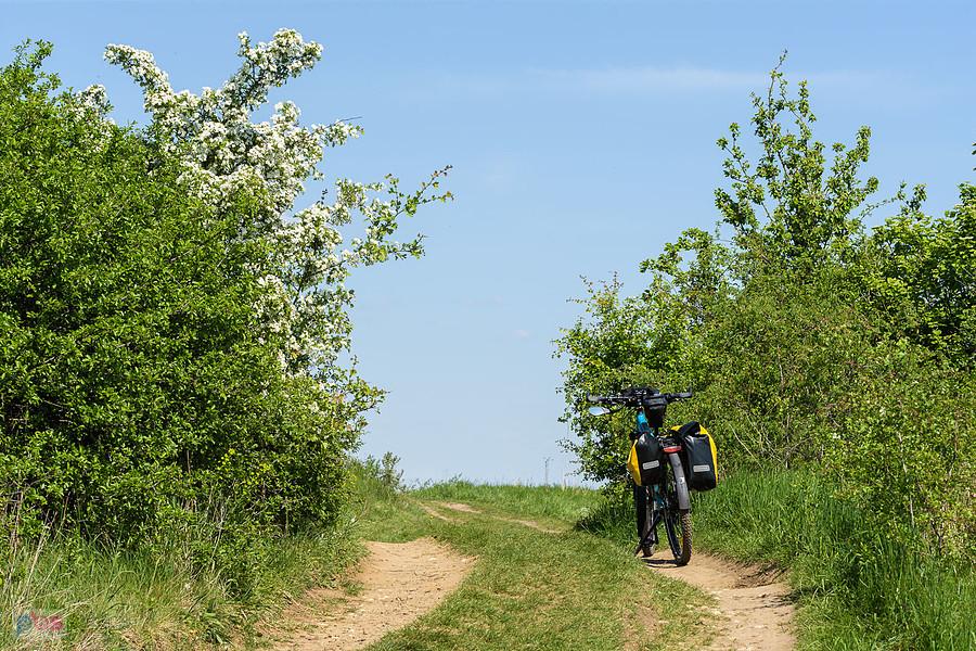 Wzgórze Parchowatka - Żarki