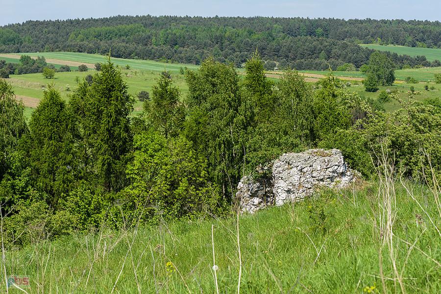 Wzgórze Parchowatka - Żarki
