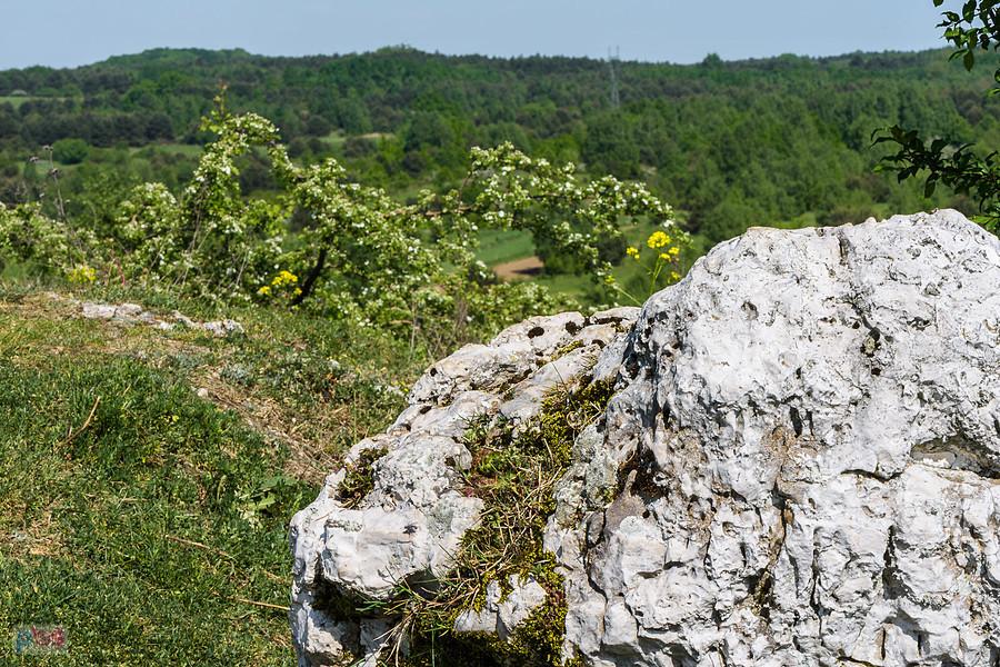Wzgórze Parchowatka - Żarki