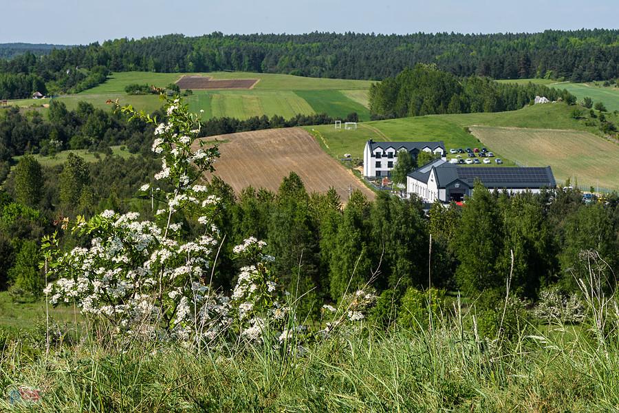 Wzgórze Parchowatka - Żarki - widok na północną stronę