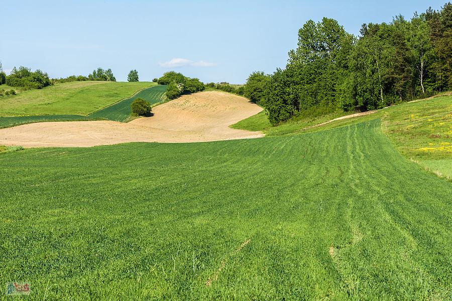 Widok na pola w Ogorzelniku