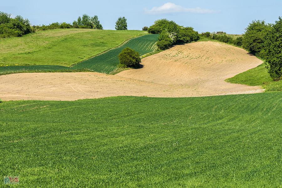 Widok na pola w Ogorzelniku