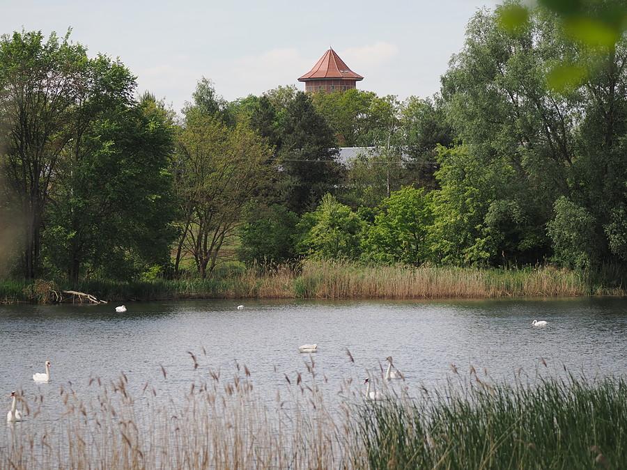 Stawy Ośniańskie i wieża ciśnień w Ośnie Lubuskim