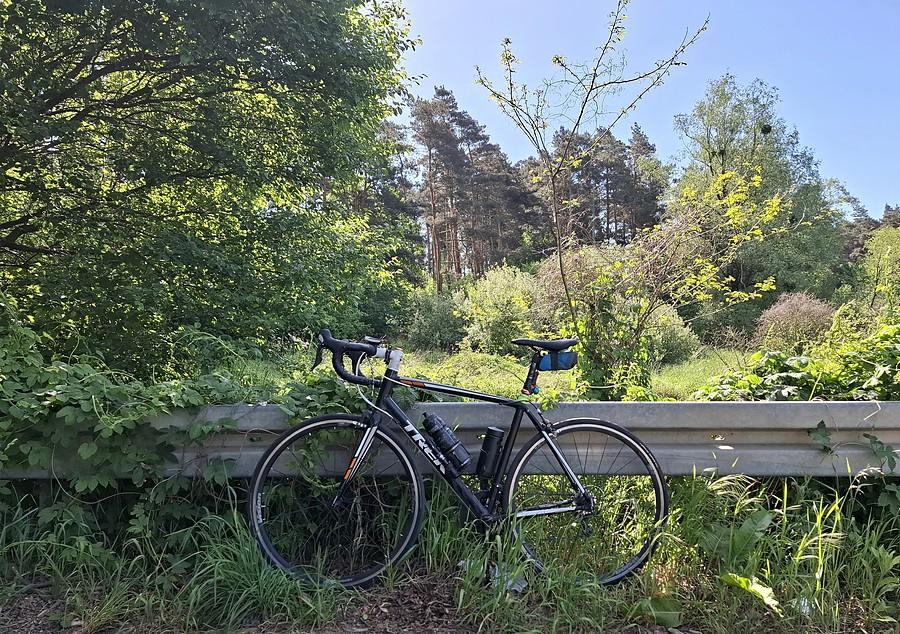 Rowerówka w zieleni
