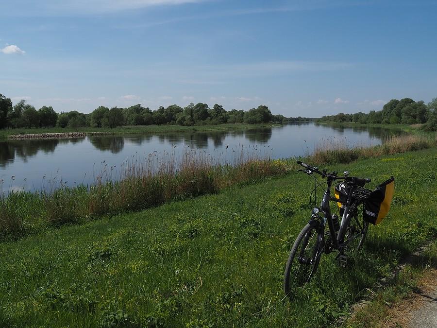 Nad Wartą w PN Ujście Warty