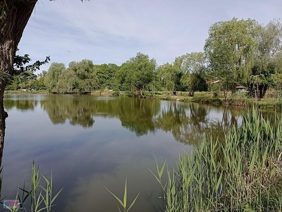 Staw w Zielonkach