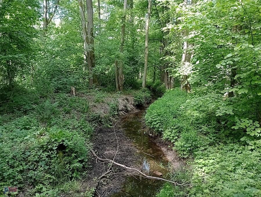 Strumyk w Klaudynie