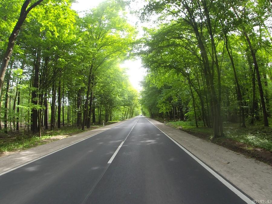 Braci Leśnej (Nadarzyn-Magdalenka)