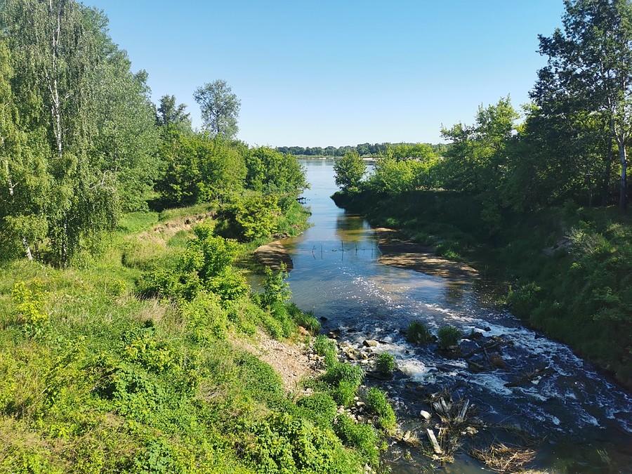 Ujście Jeziorki do Wisły