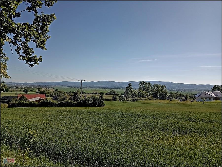 Panorama Gór Sowich ze Wzgórz Kiełczyńskich