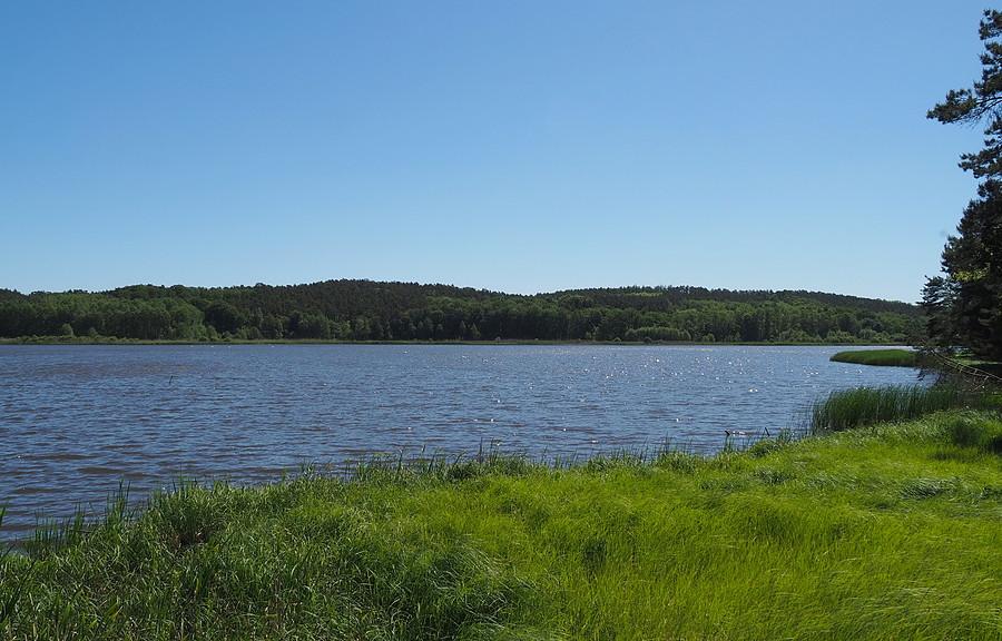 Staw Ośniański