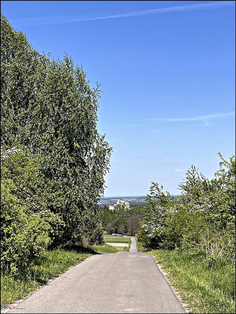 Jurajskie ścieżki