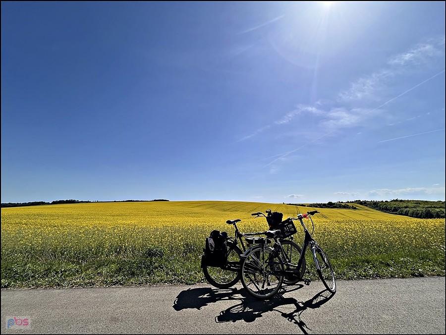 Rzepak i rowerki