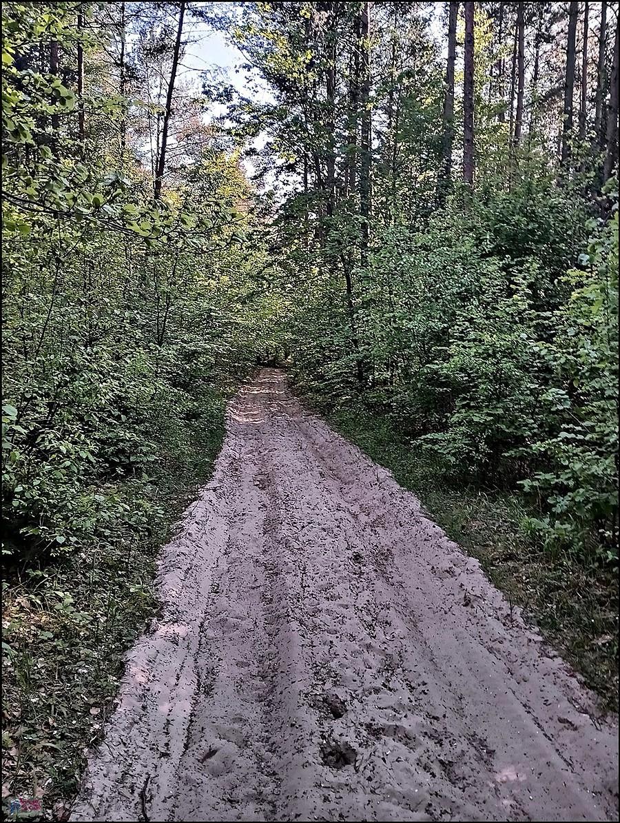 piaszczyście
